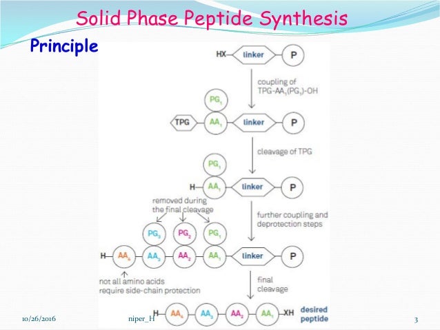 Chemistry of Peptide Synthesis